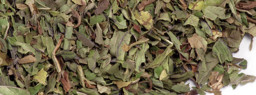 BORSMENTA-levelek, borsmenta tea képe