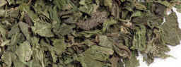 CSALÁN-levelek, csalán tea képe
